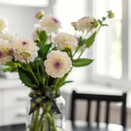 Authentic Vokieciu Old Town Apartment